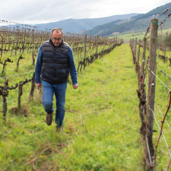 Winemaker Federico Giuntini in his Chianti Rufina vineyard