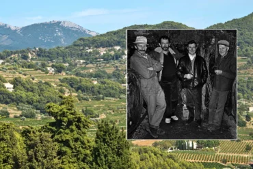 Pictures of the life of Kermit Lynch, an American wine importer, set on a background of Bandol vineyard ©Gail Skoff