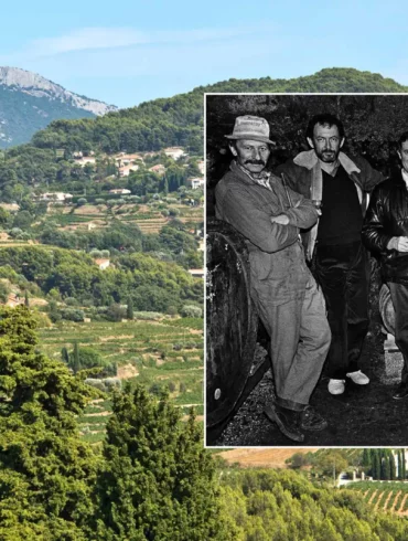 Pictures of the life of Kermit Lynch, an American wine importer, set on a background of Bandol vineyard ©Gail Skoff
