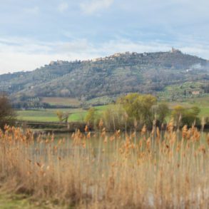 A springtime view of Montalcino in Tuscany, Italy. ©Kevin Day/Opening a Bottle