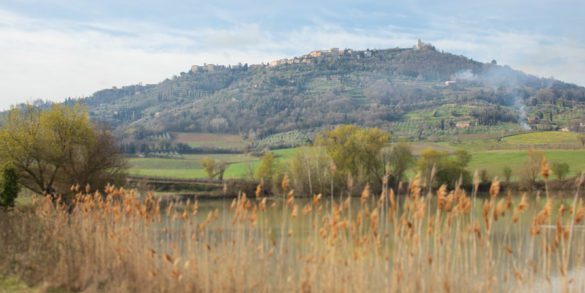 A springtime view of Montalcino in Tuscany, Italy. ©Kevin Day/Opening a Bottle