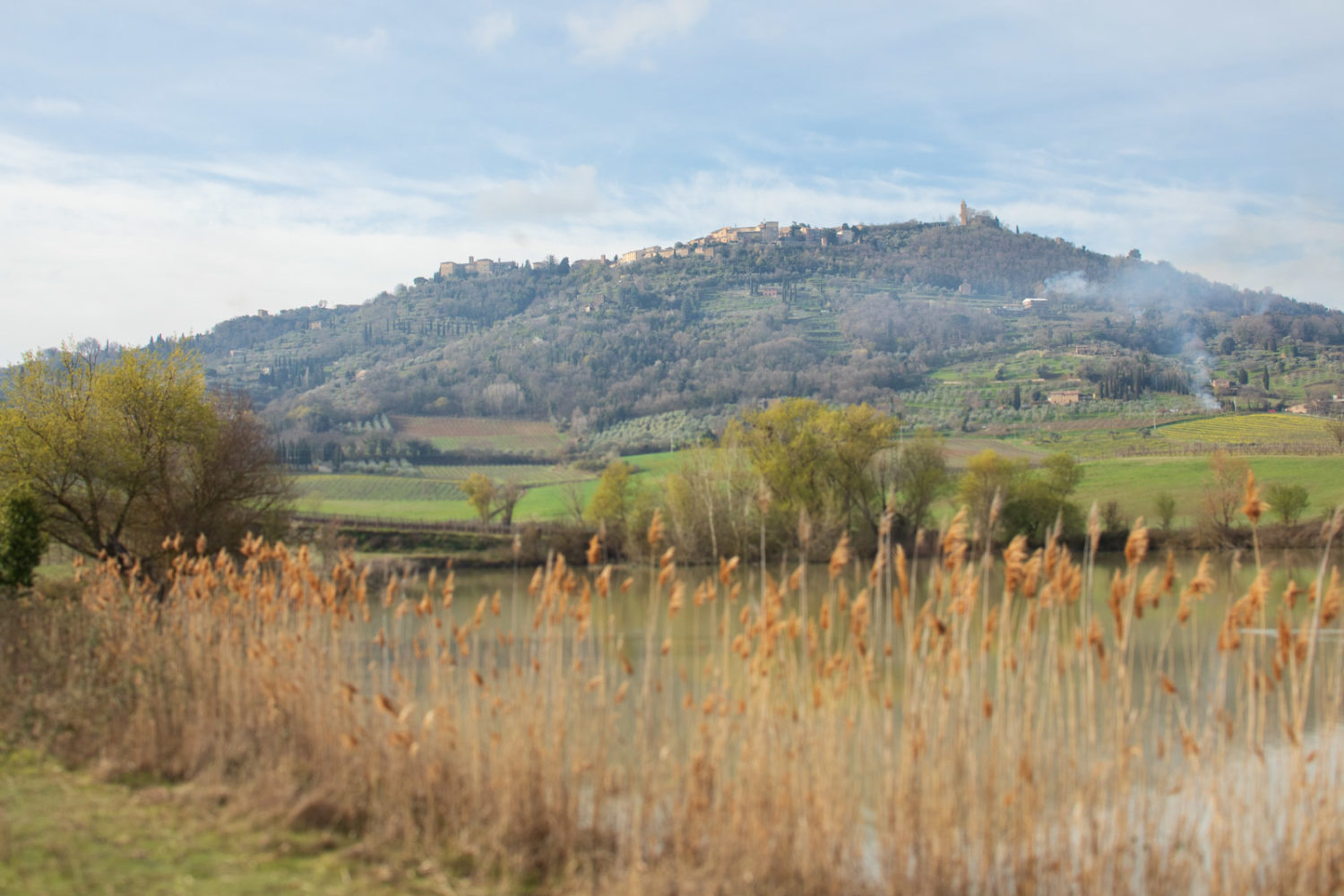 A springtime view of Montalcino in Tuscany, Italy. ©Kevin Day/Opening a Bottle