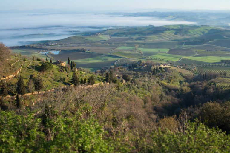 An early morning view over the verdant fields of the Val d'Orcia from Montalcino. ©Kevin Day/Opening a Bottle