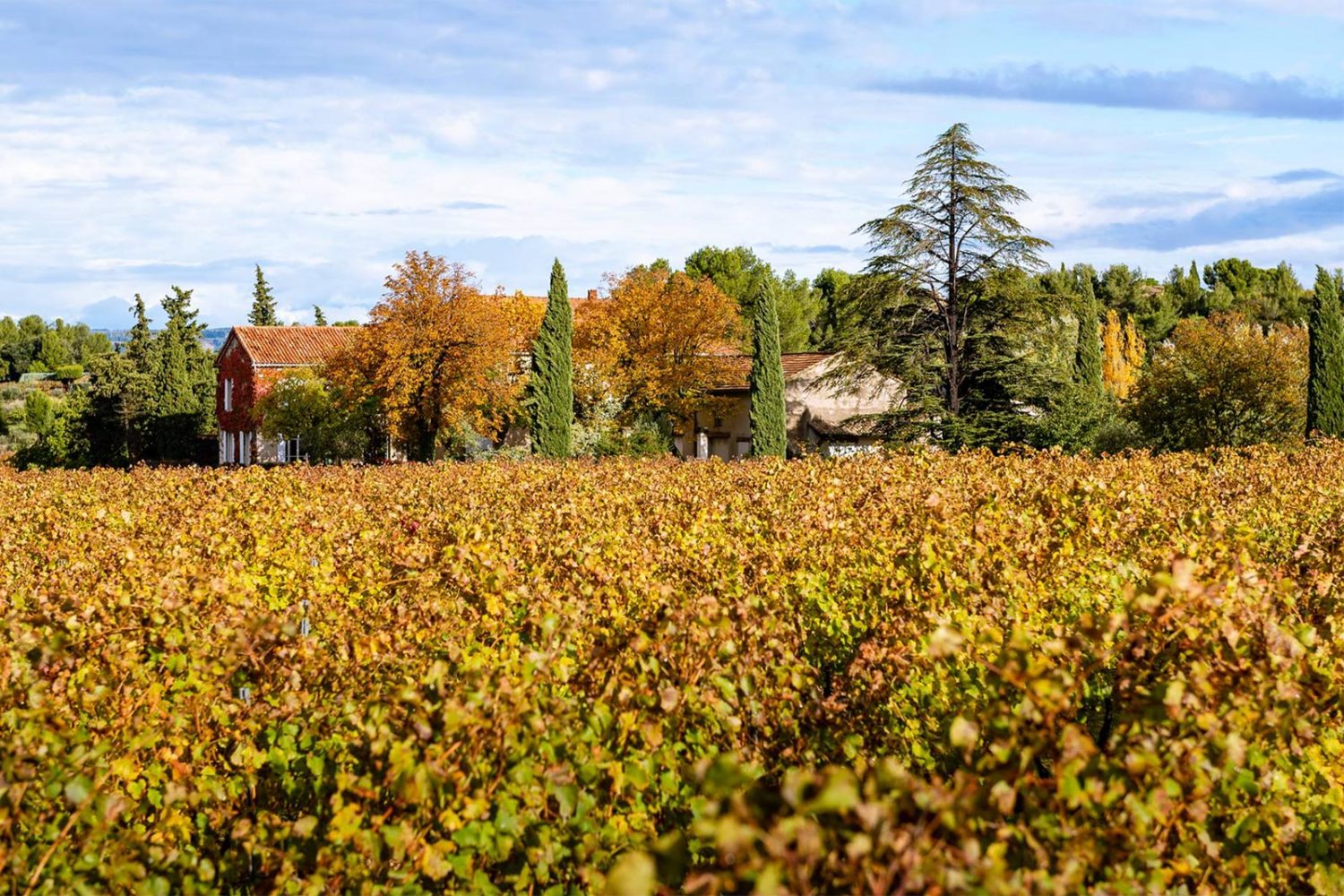 Domaine Saint Gayan in autumn. ©Domaine Saint Gayan