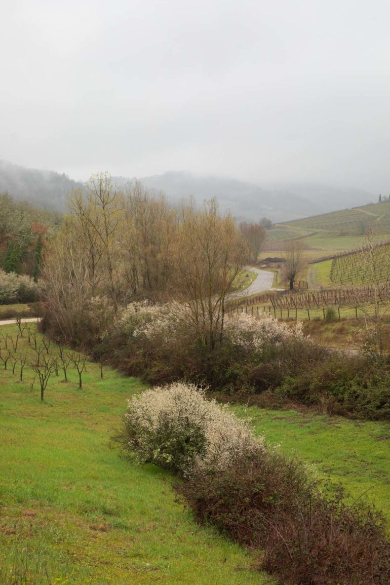 The view from Poggerino in Radda in Chianti. ©Kevin Day/Opening a Bottle