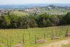 San Gimignano seen from Montenidoli ©Kevin Day/Opening a Bottle