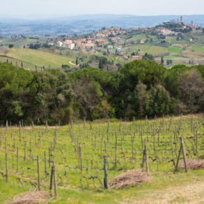 San Gimignano seen from Montenidoli ©Kevin Day/Opening a Bottle