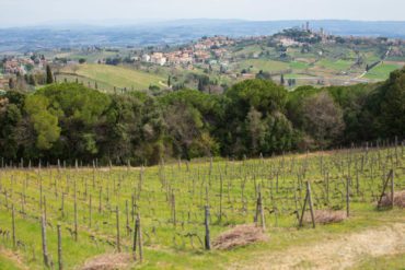 San Gimignano seen from Montenidoli ©Kevin Day/Opening a Bottle