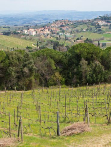 San Gimignano seen from Montenidoli ©Kevin Day/Opening a Bottle