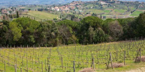 San Gimignano seen from Montenidoli ©Kevin Day/Opening a Bottle