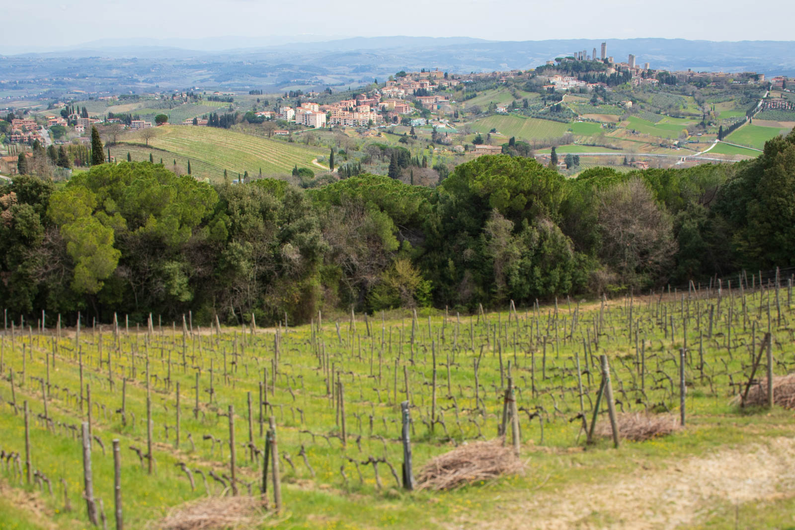 San Gimignano seen from Montenidoli ©Kevin Day/Opening a Bottle