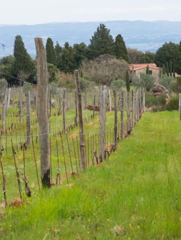 The farm that hosts retreats for the Fondazione Sergio Il Patriarca Onlus at Montenidoli. ©Kevin Day/Opening a Bottle