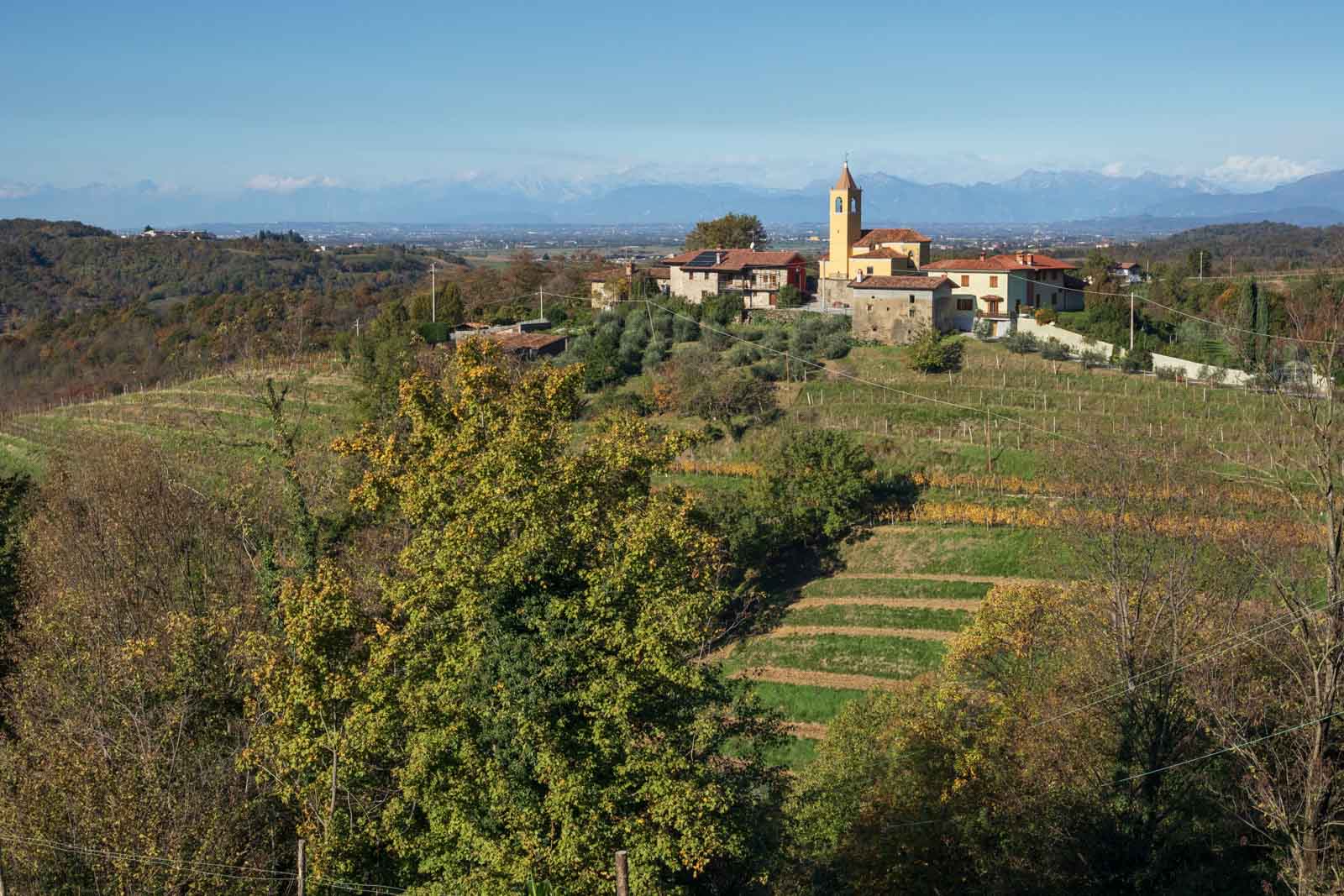 The ideal Friulano vineyards of the northern Collio are higher on the hillsides to gather more warmth above the fogline. ©Kevin Day/Opening a Bottle