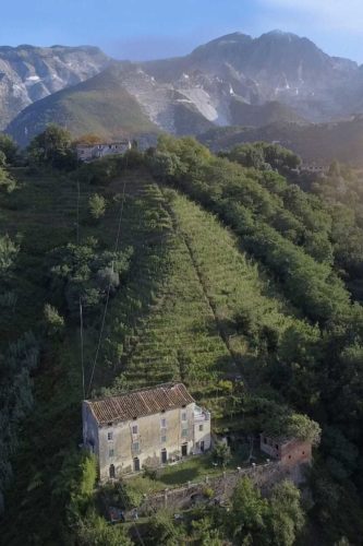 The vineyards above Massa with the Apuane Alps higher up. ©Terenzuola