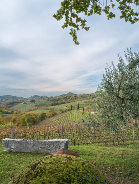 Gravner's vineyard in Oslavia,Italy. ©Kevin Day/Opening a Bottle