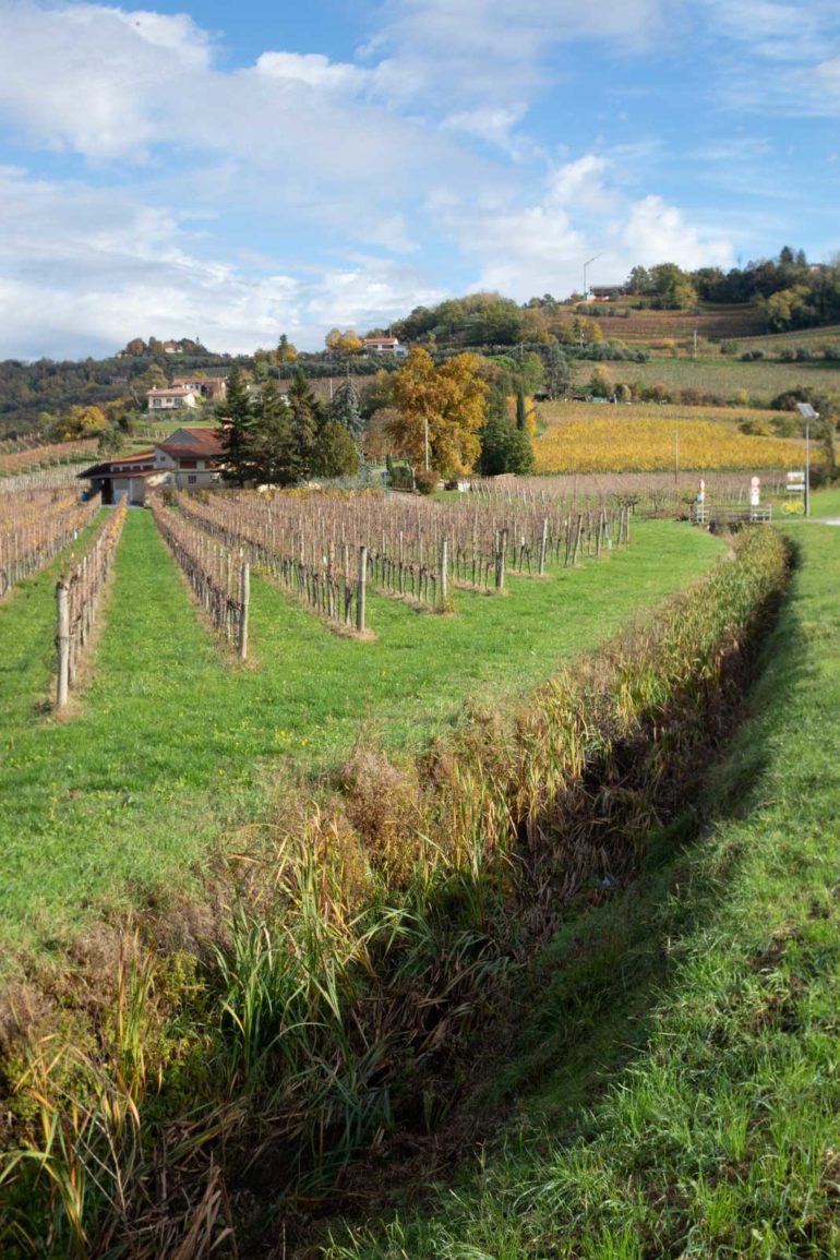 Near the Slovenian border in San Floriano in Collio. ©Kevin Day/Opening a Bottle