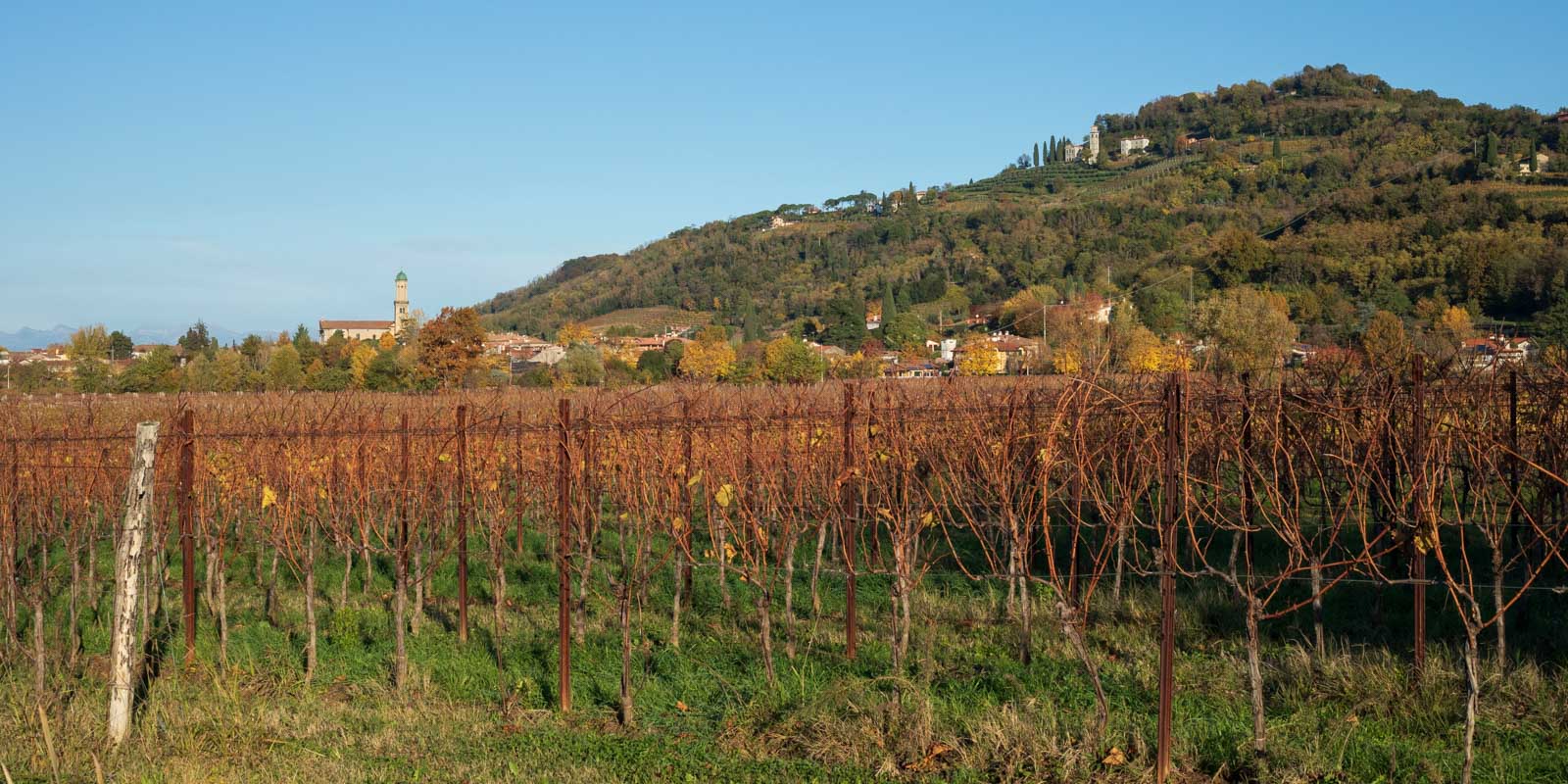 The vineyards below Mount Quarin just outside Cormons, Italy. ©Kevin Day/Opening a Bottle