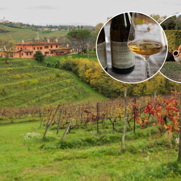 The vineyards of Friuli Colli Orientali and Collio ©Kevin Day/Opening a Bottle