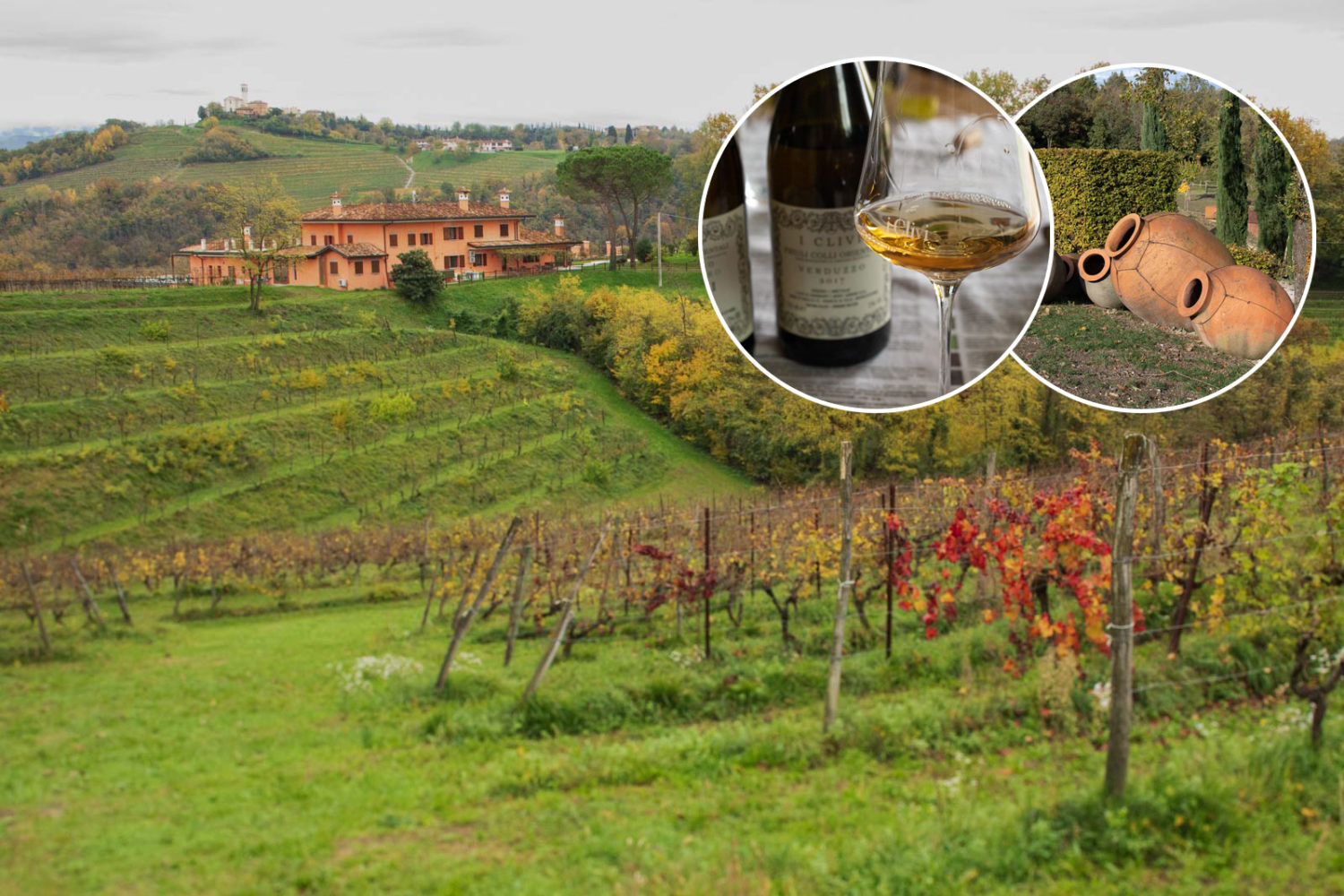 The vineyards of Friuli Colli Orientali and Collio ©Kevin Day/Opening a Bottle