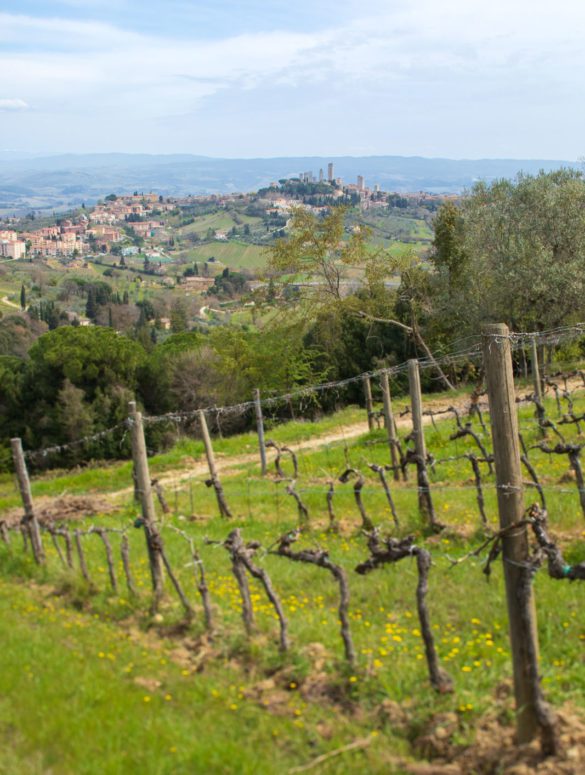 A view of San Gimignano from Montenidoli's vineyards. ©Kevin Day/Opening a Bottle