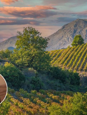 Nemea wine region in Greece and bottle of Agiorgitiko