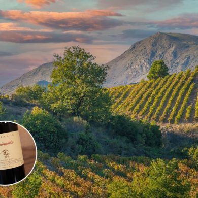 Nemea wine region in Greece and bottle of Agiorgitiko