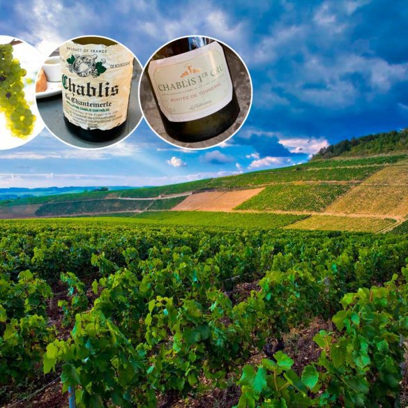 Collage of Chablis vineyards, grapes and wine bottles.