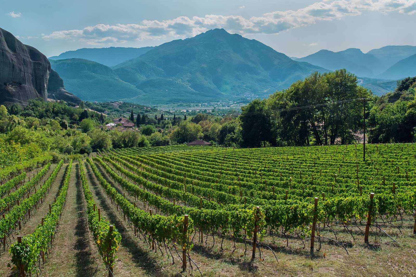 Mountain vineyards of the Peloponnese