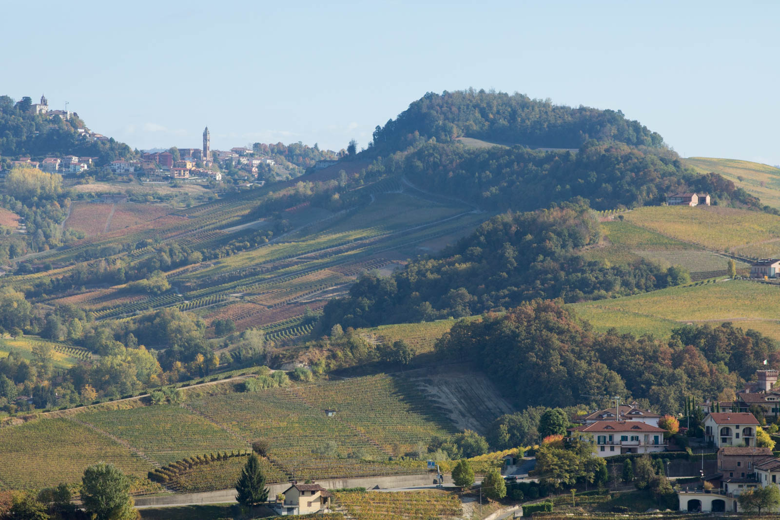 Monforte d'Alba and Barolo cru Bussia in Piedmont, Italy. ©Kevin Day/Opening a Bottle