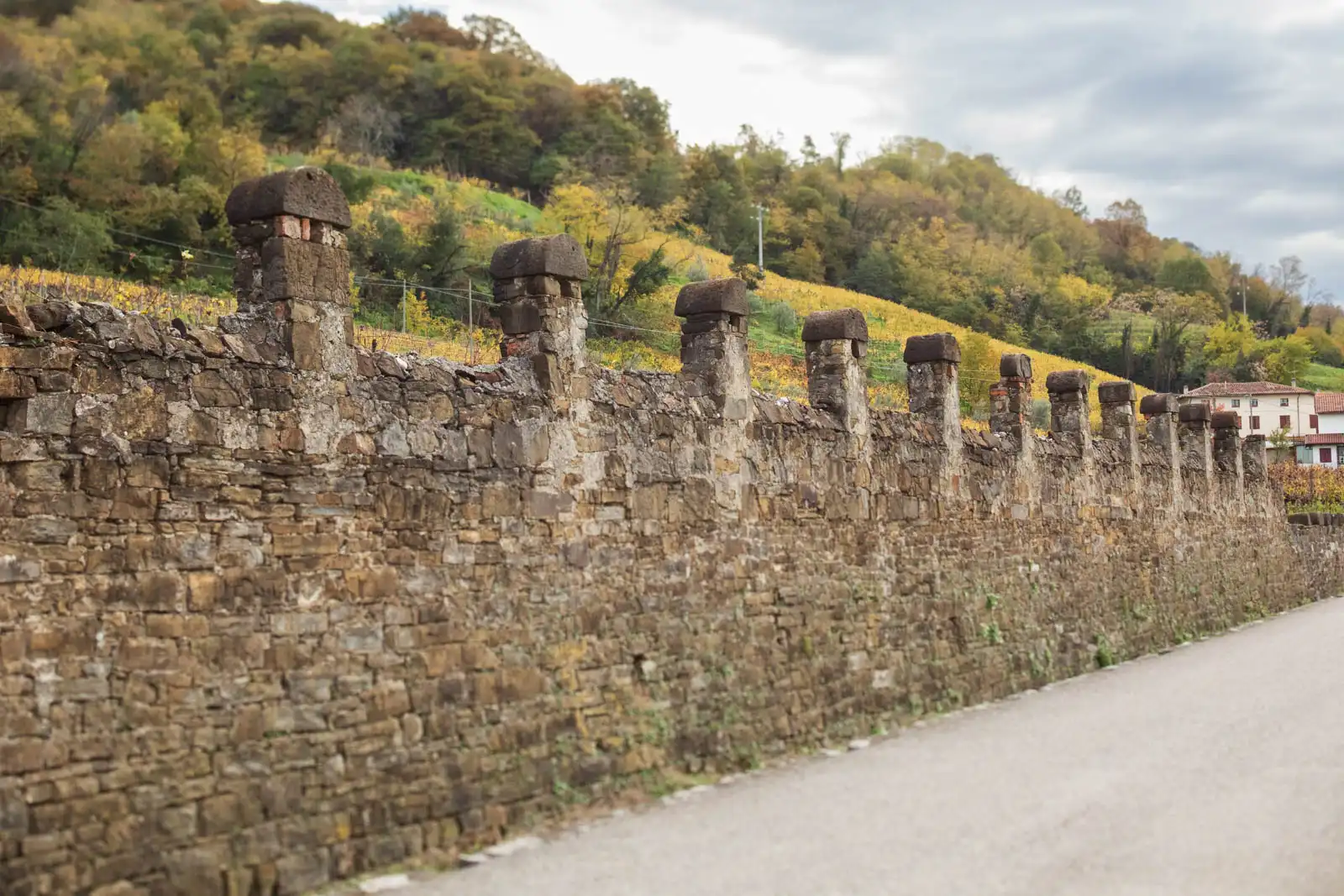 Crenelated walls line a vineyard of Malvasia vines in Collio, Italy.