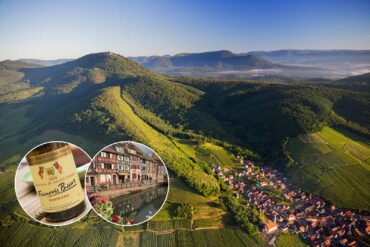 Aerial view of Alsace wine country. ©Vins d'Alsace