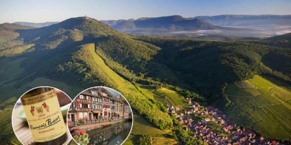Aerial view of Alsace wine country. ©Vins d'Alsace