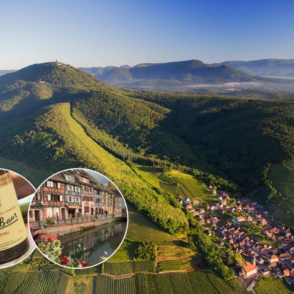 Aerial view of Alsace wine country. ©Vins d'Alsace