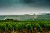 Chablis vineyards under a passing storm