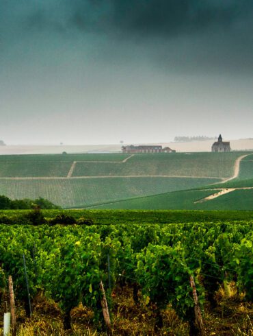 Chablis vineyards under a passing storm