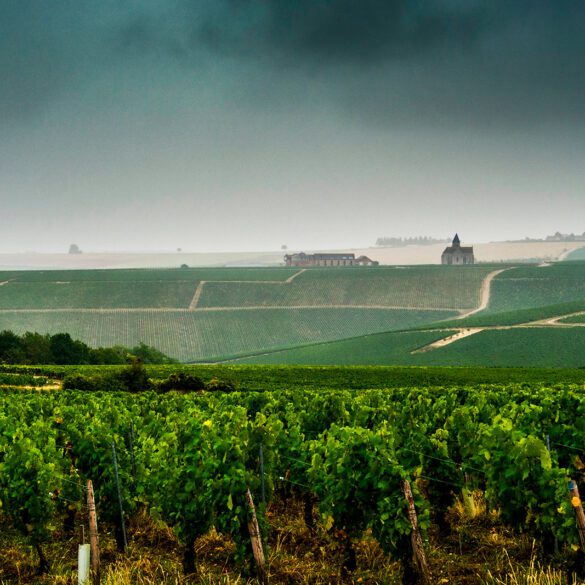 Chablis vineyards under a passing storm