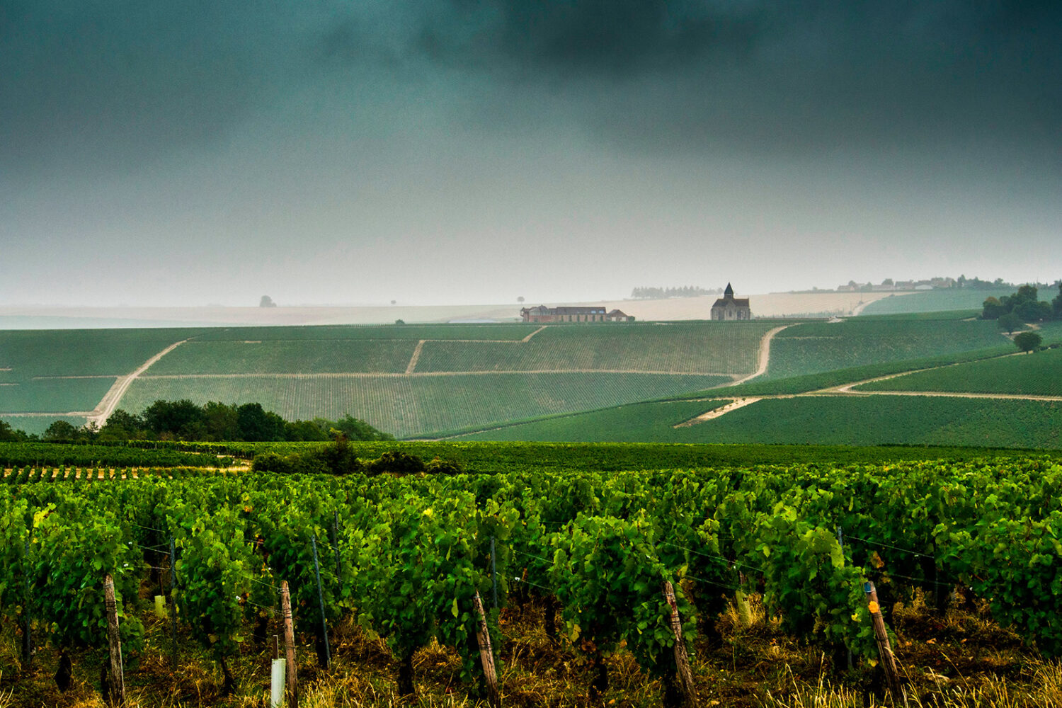 Chablis vineyards under a passing storm