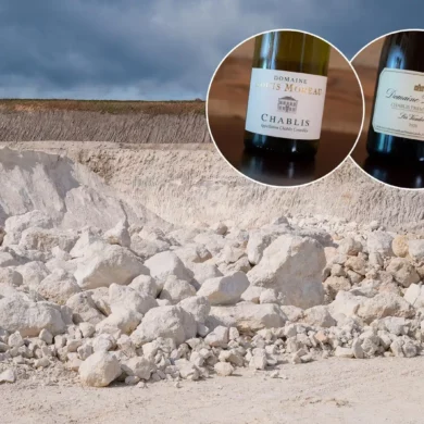 Limestone quarry and Chablis wine bottles