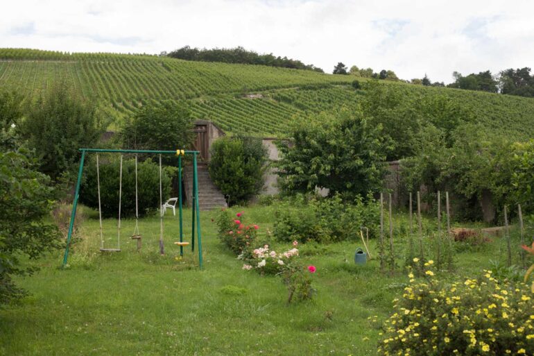 A playground and communal vineyards in Alsace, France. ©Kevin Day/Opening a Bottle