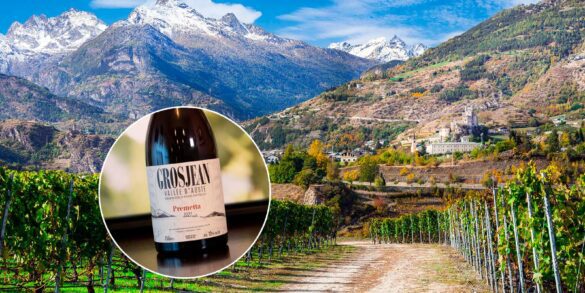 Premetta and vineyards in Valle d'Aosta