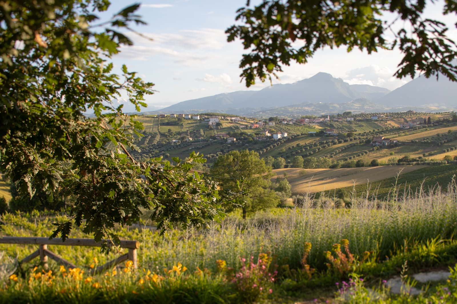 Abruzzo vineyard and mountain countryside.