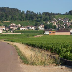 The wine village of Volnay in Burgundy, France.