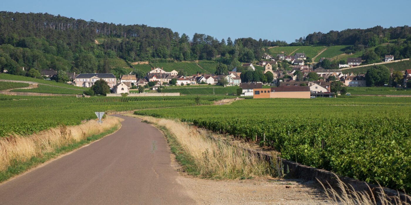 Volnay village with vineyards, near Beaune, Bourgogne, France.