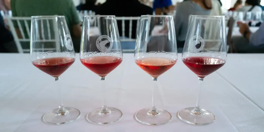 Cerasuolo d'Abruzzo wine range of colors in the glass.