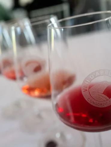 A series of Cerasuolo d'Abruzzo wines lined up at a tasting.