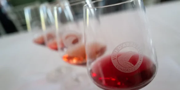 A series of Cerasuolo d'Abruzzo wines lined up at a tasting.