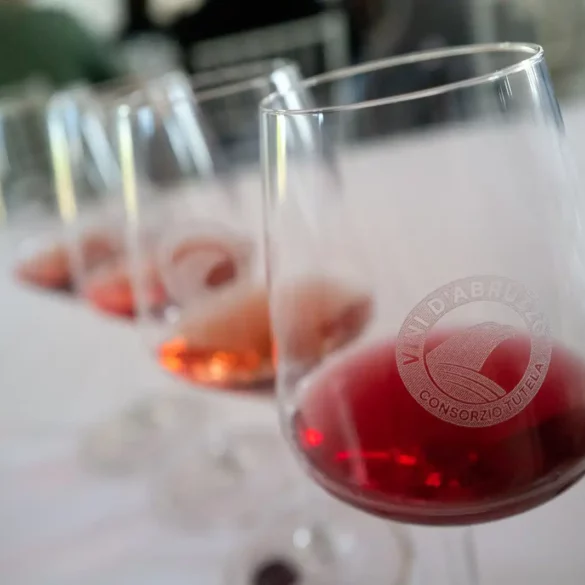 A series of Cerasuolo d'Abruzzo wines lined up at a tasting.