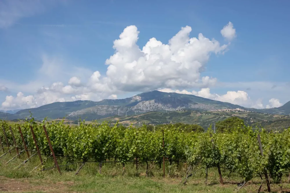 The mountain scenery of Abruzzo, where red wine flourishes.