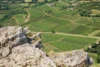 A view over the vineyards near Solutré-Pouilly in the Mâconnais district of Bourgogne, France.