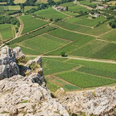 A view over the vineyards near Solutré-Pouilly in the Mâconnais district of Bourgogne, France.